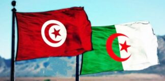 Tunisia & Algeria to develop new submarine cable linking North Africa to Italy