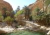 Nearly 500 Tunisian participants in first edition of SKYS