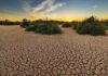 Tunisia-Climate change: Food security could be seriously impacted by 2050 and 2100