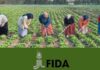 IFAD-funded studies on socio-economic inclusion project in 40 imadas in Kairouan launch