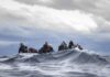 Tunisians continue to flock to the Italian coast