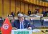Tunisia committed to values of African solidarity and cooperation, Jerandi tells 35th AU Summit