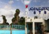 Action plan to restructure Société tunisienne du sucre (STS) to be drawn up