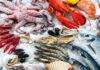 Tunisia: Trade balance for fishery products rises 43.5%