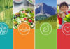 FAO discusses the new Country Programming Framework with partners in Cabo Verde