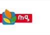 Tunisia: Magasin Général achieves turnover of 770 million dinars at end September