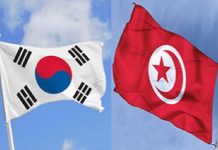 Tunisia-Korea-African countries tripartite partnership