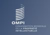Tunisia falls to 14th place in Africa in 2023 Global Innovation Index