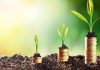 Tunisia: APIA approves financing for 11 investment projects worth TND 35.4 million