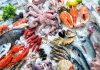 Tunisia: Trade balance in fishery products down 17.9%