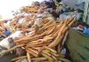 Food waste: Crossroads in understanding scourge to reduce its financial impact