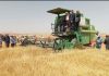 Tataouine: Agriculture Minister inaugurates harvest of pilot irrigated durum wheat field