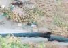 Head of SONEDE’s El Manar district dismissed over drinking water leak after President Kais Saied’s visit