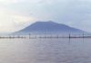 Week of Sea kicks off in Tabarka
