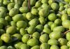 Tunisians consume 30,000 tons of olive oil every year