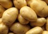 Tunisia: Arrival of 3,000 tons of imported potatoes