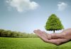 Tunisia: Awareness-raising session for CSR managers to promote sustainable future for