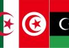 Next presidential summit between Libya, Algeria and Tunisia in Tripoli