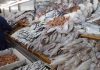 Trade balance: fishery products lead the way
