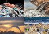 A proposed law to combat environmental crimes