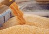 Tunisia purchases 75,000 T of soft wheat at tender, traders claim