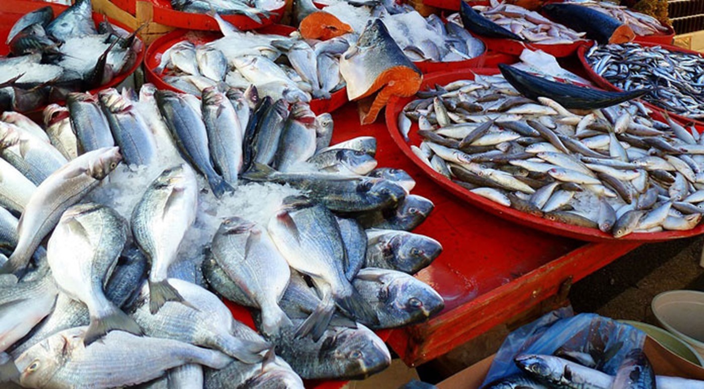 Tunisia: Fishing trade balance posts surplus of 59.9 MD