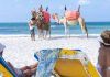 Tunisia aims to attract 11 million tourists in 2025