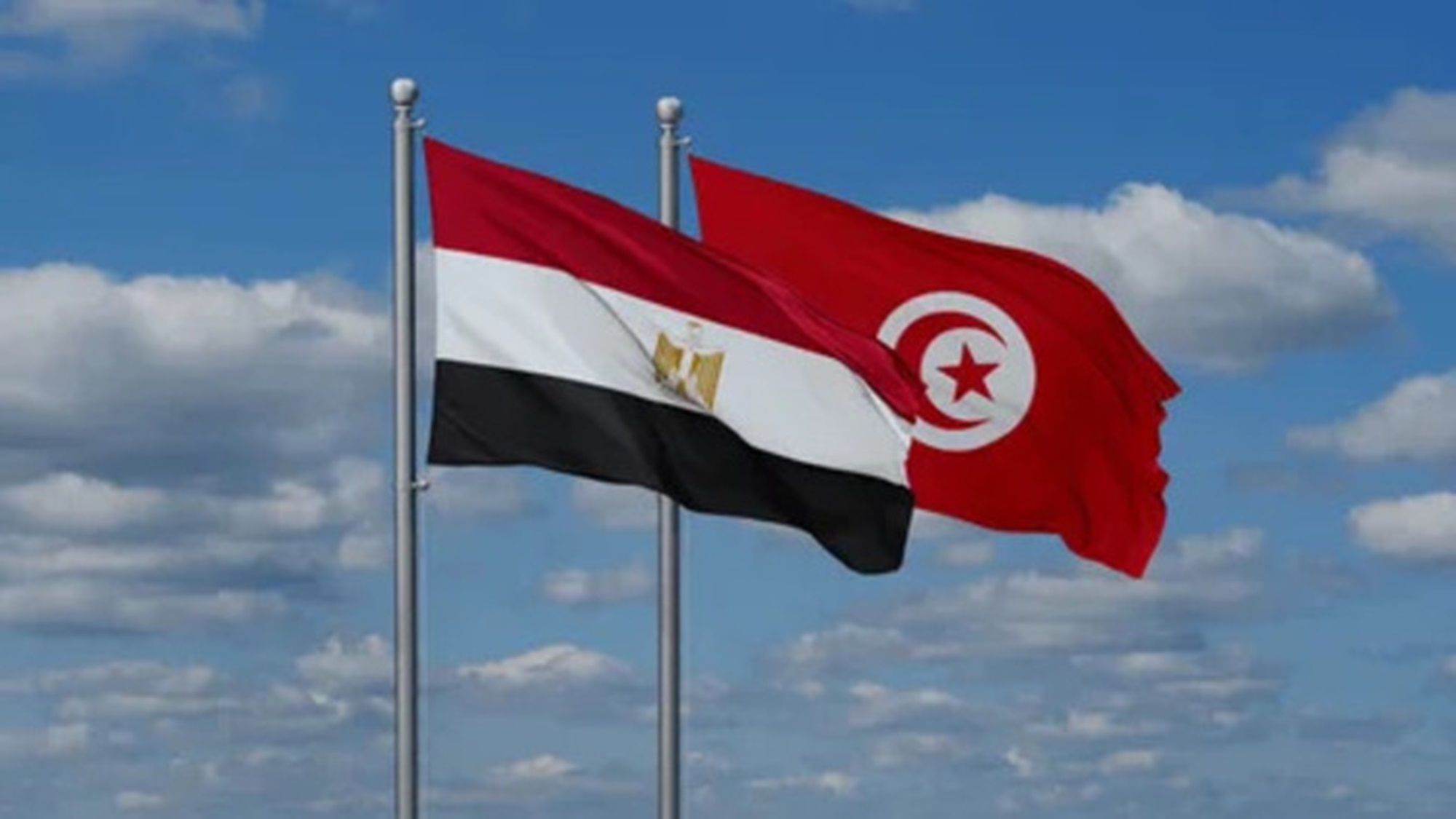 Tunisia and Egypt cooperate on investment