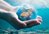 Tunisia: Towards establishing incubator for startups operating in blue economy