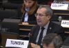 Tunisia categorically rejects the “disguised settlement” of irregular migrants!