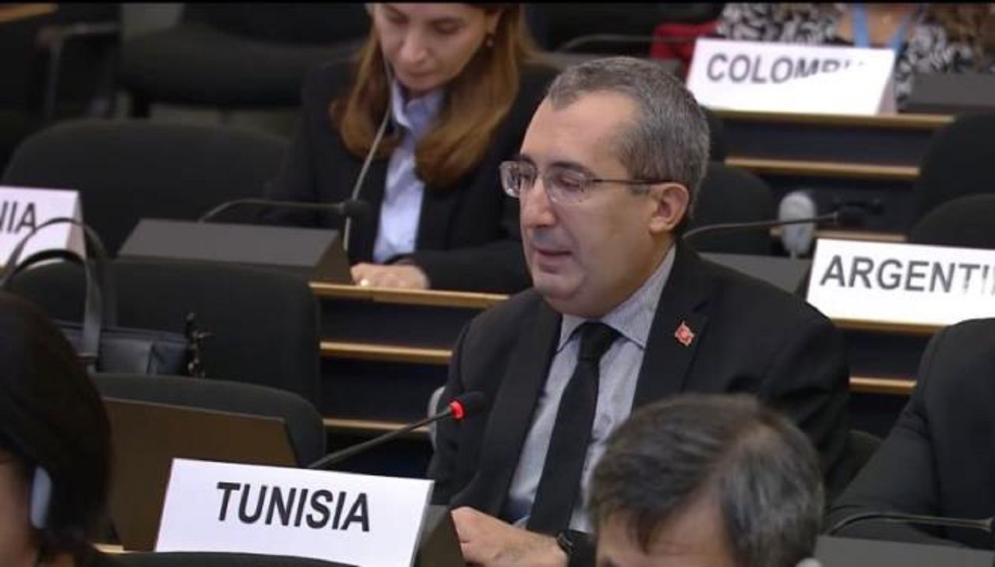 Tunisia categorically rejects the “disguised settlement” of irregular migrants!