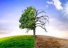 COP30: Tunisia redefines its climate strategy