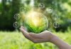 Tunisia most competitive African country in green value chains