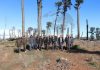 Tunisia: New tourist zone planned for Aïn Draham