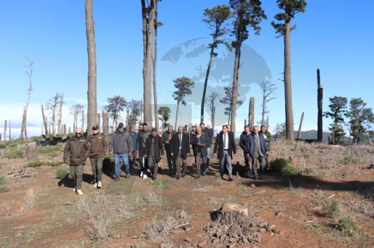 Tunisia: New tourist zone planned for Aïn Draham