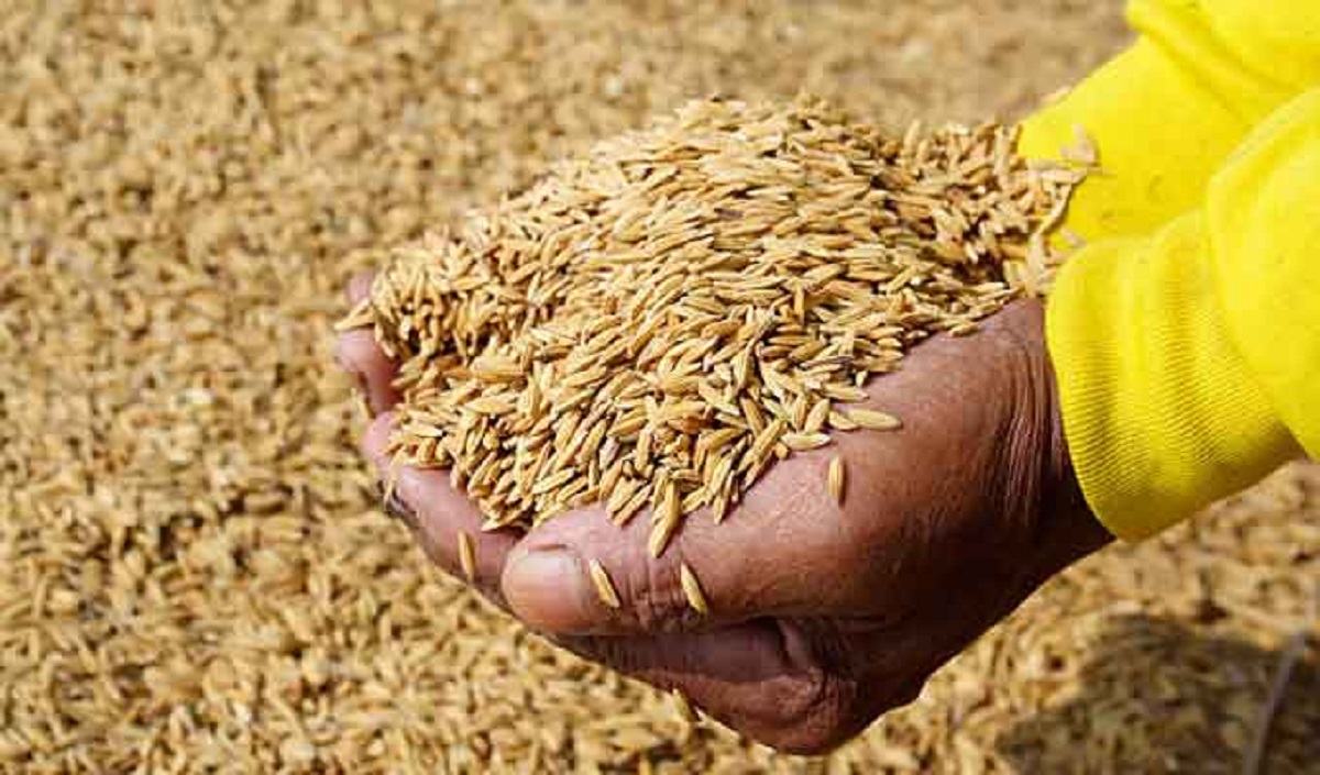 Tunisia reported to be purchasing 125,000 metric tons of feed barley