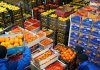 Tunisia: Agricultural & agri-food exports to Morocco exceed 338 million dinars