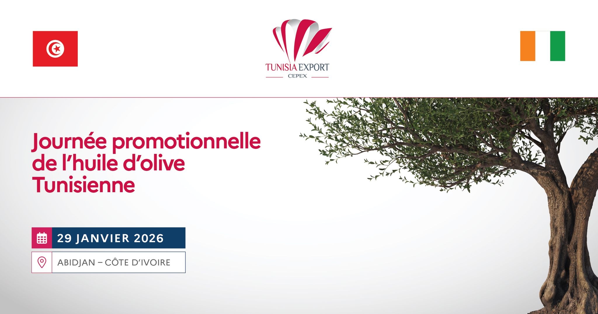 Olive Oil: A Promotional Day on January 29 in Abidjan