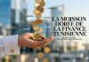 Anatomy of a 2025 dividend surge