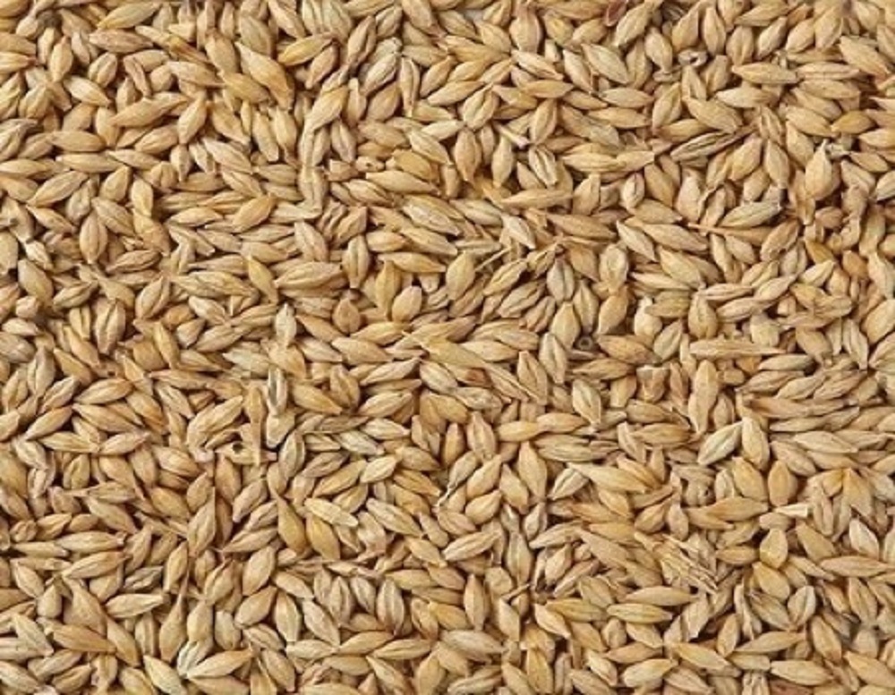 Tunisia buys about 25,000 metric tons feed barley in tender, say traders