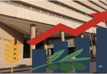 Tunisia: Monetary policy held captive by budget? Diagnosis comes from a Central Bank Working Paper